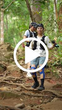 BIB:  <button type="button" onclick="openModal(27587721)" class="btn btn-primary btn-sm float-right" data-toggle="modal" data-target=".modal-high-quality">
                <i class="fa fa-download"></i> Download
                </button>